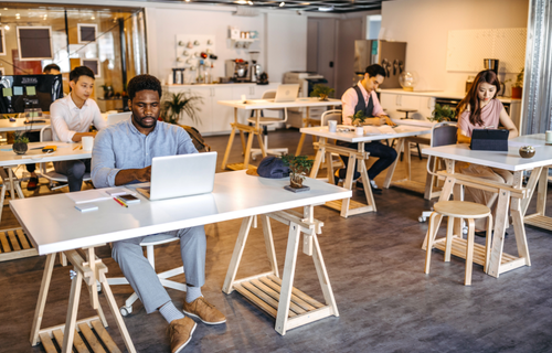 black white minimalist cv resume (2)